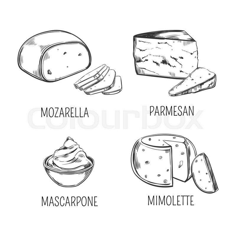 800x800 Set Of Isolated Italian Mozzarella And Porous Parmesan, Delicious - Nutrition Sketch