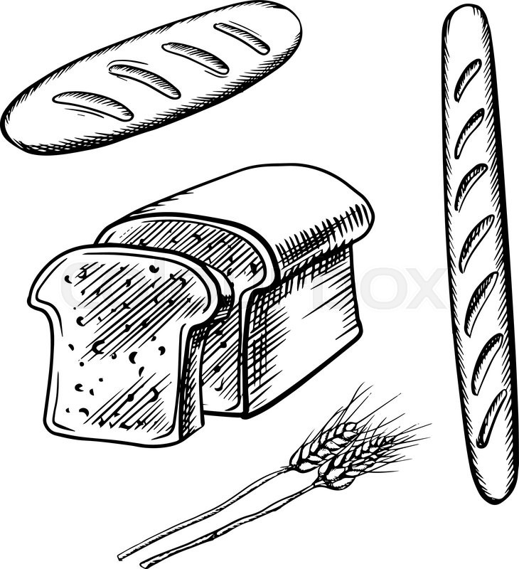 730x800 Sketch Of Sliced Bread, Long Loaf And Baguette With Ripe Wheat - Nutrition Sketch
