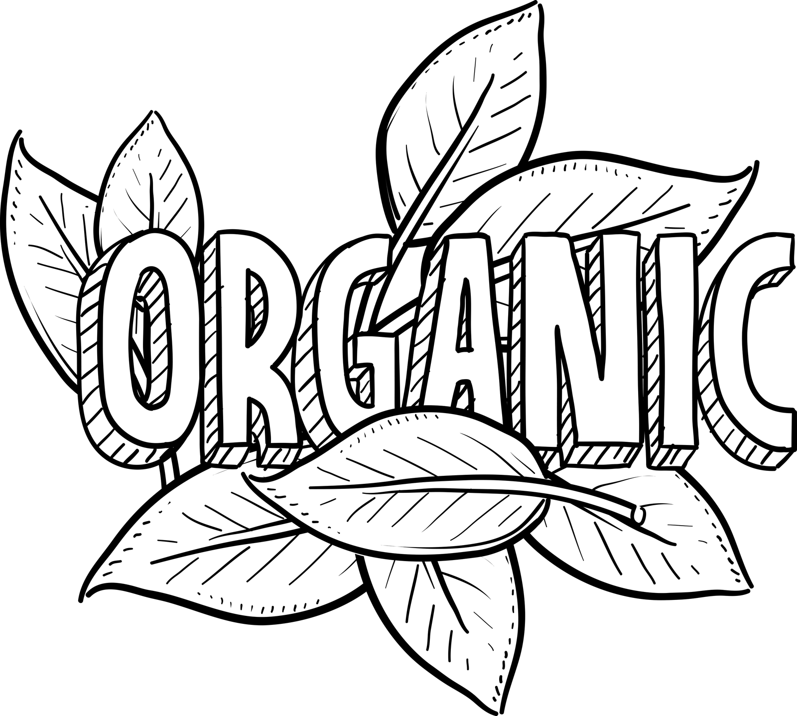 1600x1437 Labels Hearty Nutrition Blog - Nutrition Sketch