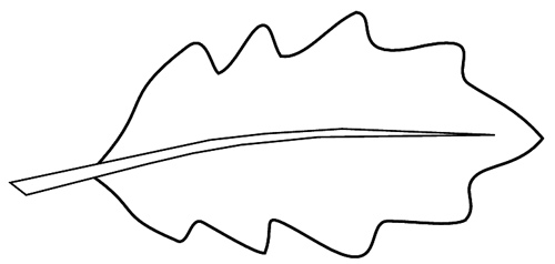 500x238 Oak Leaf Sketch Clipart To Color, Lge 12 Cm Long - Oak Leaf Sketch
