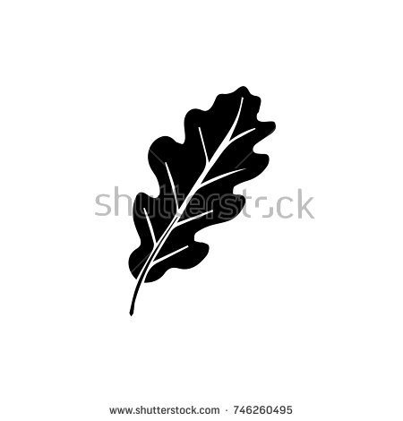 450x470 Oak Leaf Vector Oak Leaf Vector Sketch Stock Vector 746260495 - Oak Leaf Sketch