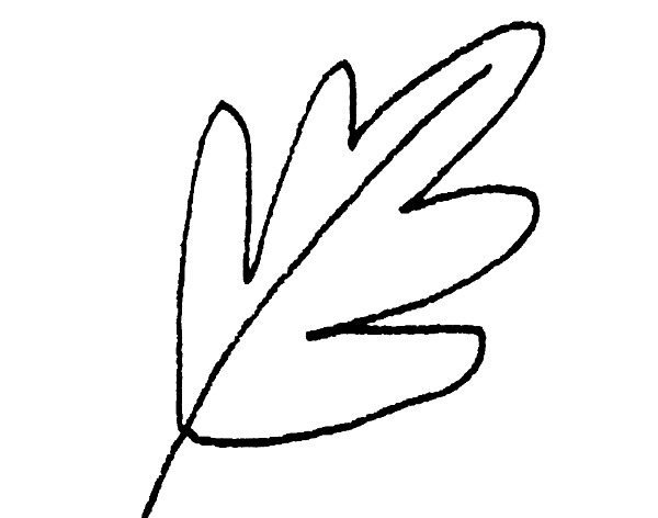 600x472 7 Ways To Draw Fall Leaves Dawn Nicole - Oak Leaf Sketch