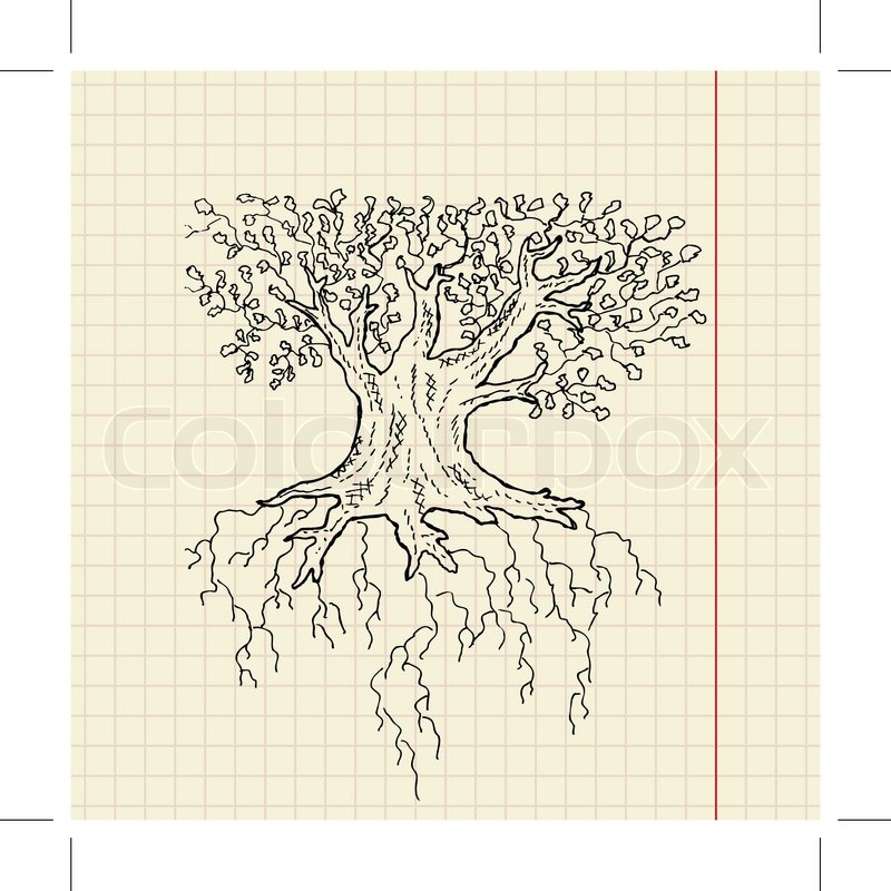 800x800 Oak Tree Sketch On School Paper, Vector Illustration, Eps 10 - Oak Sketch