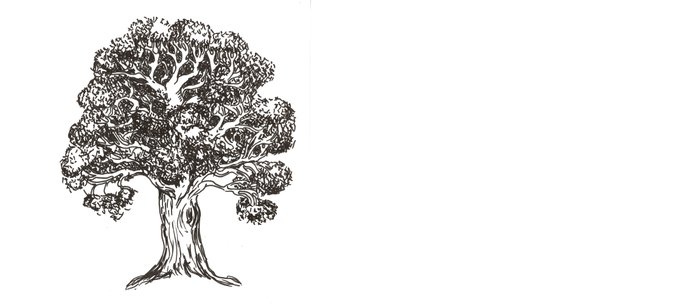 700x304 Simple Oak Sketch Coffee Mug By Dacek Society6 - Oak Sketch