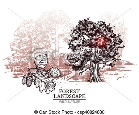 450x374 Sketch Tree Landscape Illustration. Sketch Deciduous Trees Forest - Oak Sketch