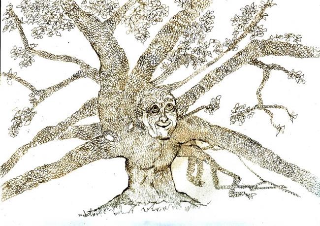 650x459 Treaty Oak Sketch - Oak Sketch