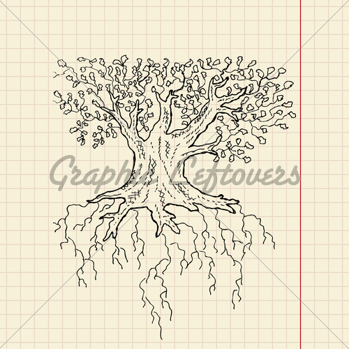 500x500 Oak Tree Sketch Gl Stock Images - Oak Tree Sketch