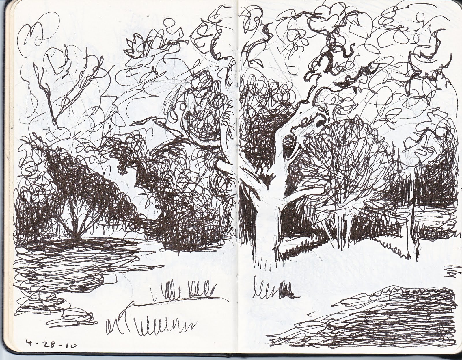 1600x1246 Palette And Easel Oak Tree Sketches - Oak Tree Sketch