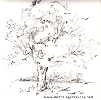 400x396 Drawing Everyday Old Oak Tree - Oak Tree Sketch