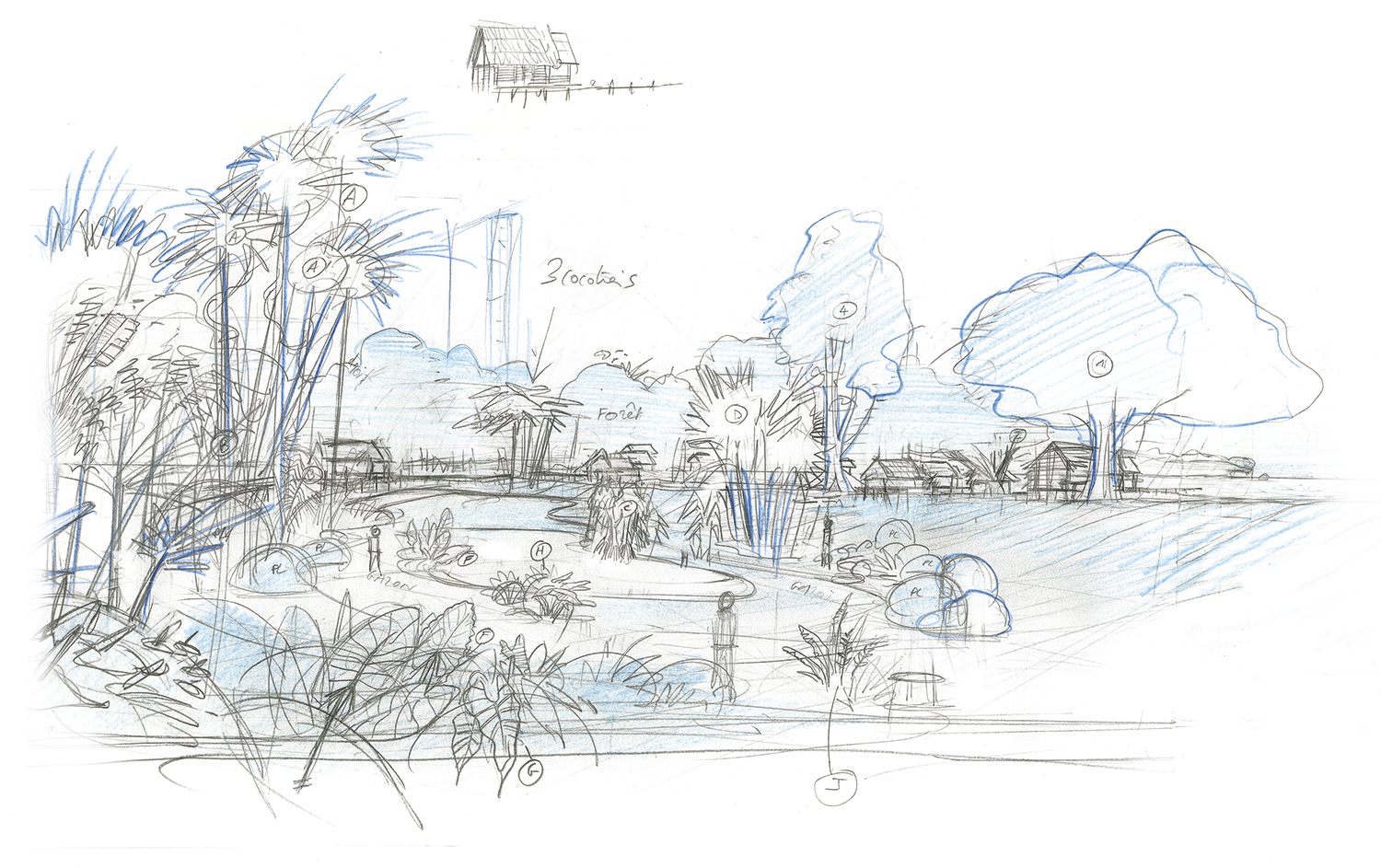 1500x943 Index Of Wp Contentuploadsoasis A Madagascar - Oasis Sketch