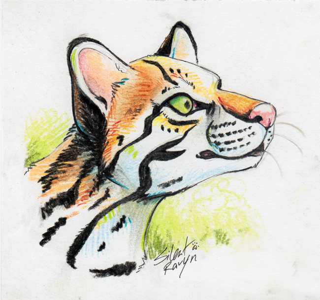 650x609 Ocelot Pastel Sketch By Silentravyn - Ocelot Sketch