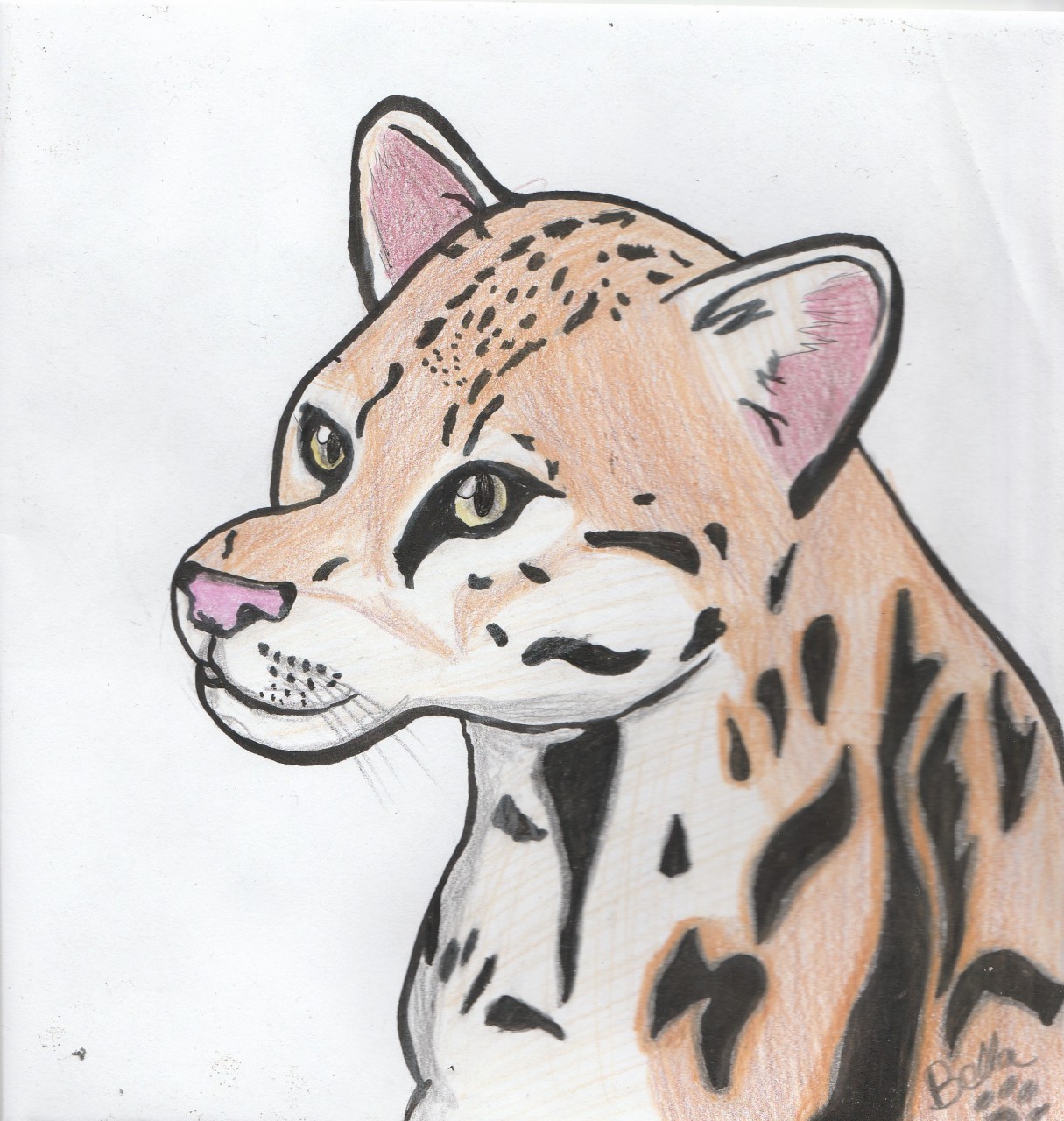 1215x1280 Ocelot By Narcolepticocelot - Ocelot Sketch