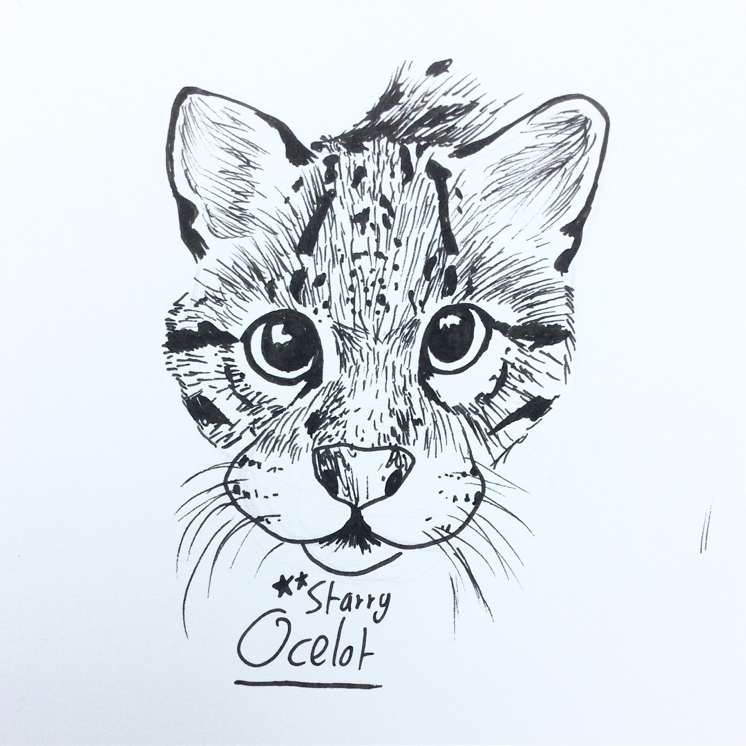1080x1080 Ocelotart - Ocelot Sketch