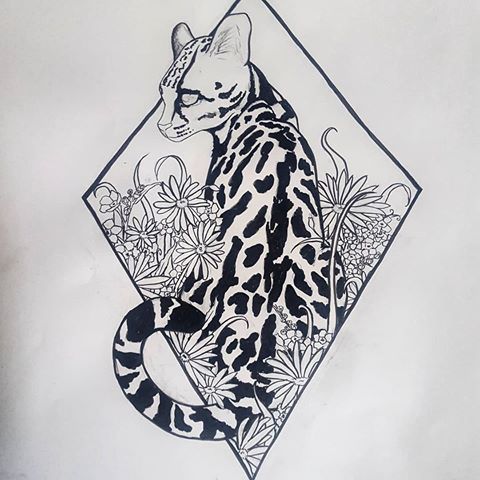 480x480 Images About - Ocelot Sketch