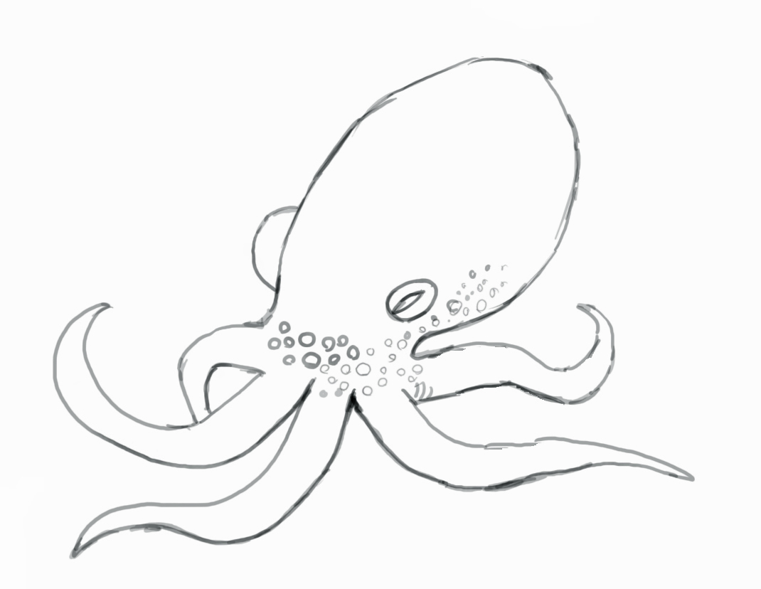 1070x828 How To Draw An Octopus - Octopus Sketch