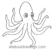 183x166 Octopus Drawings In Pencil - Octopus Sketch