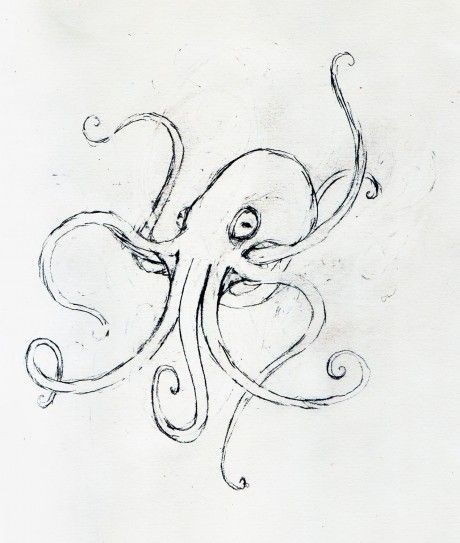 460x543 Octopus Sketch Leeviathan Art Octopus Sketch - Octopus Sketch