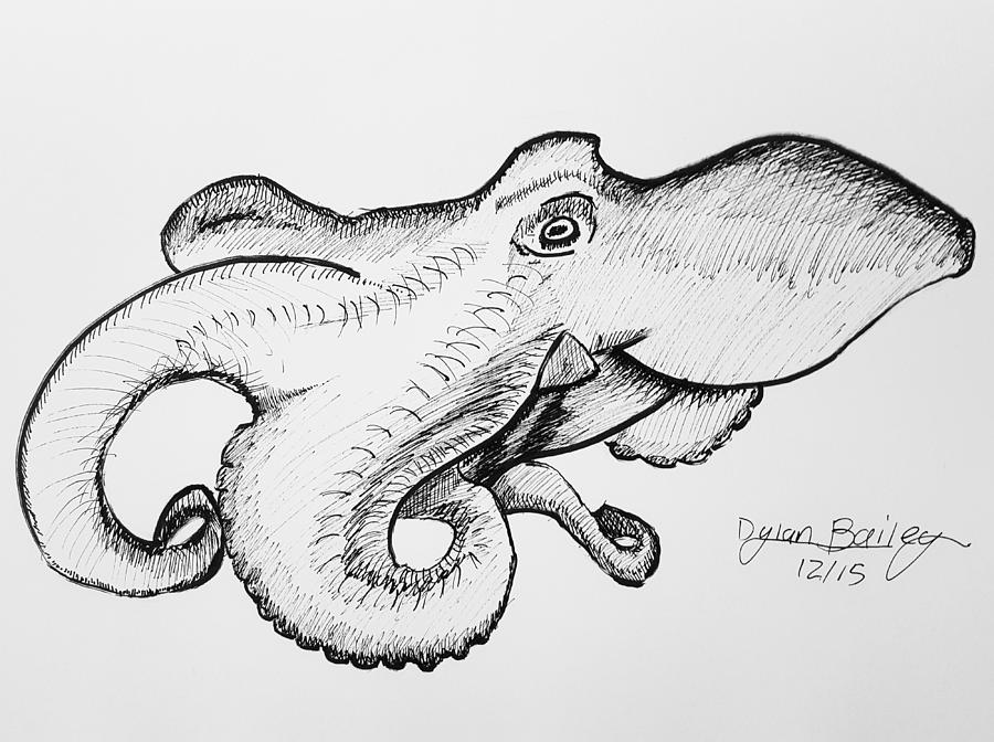900x672 Octopus Sketch Dec2015 Drawing By Dylan Bailey - Octopus Sketch