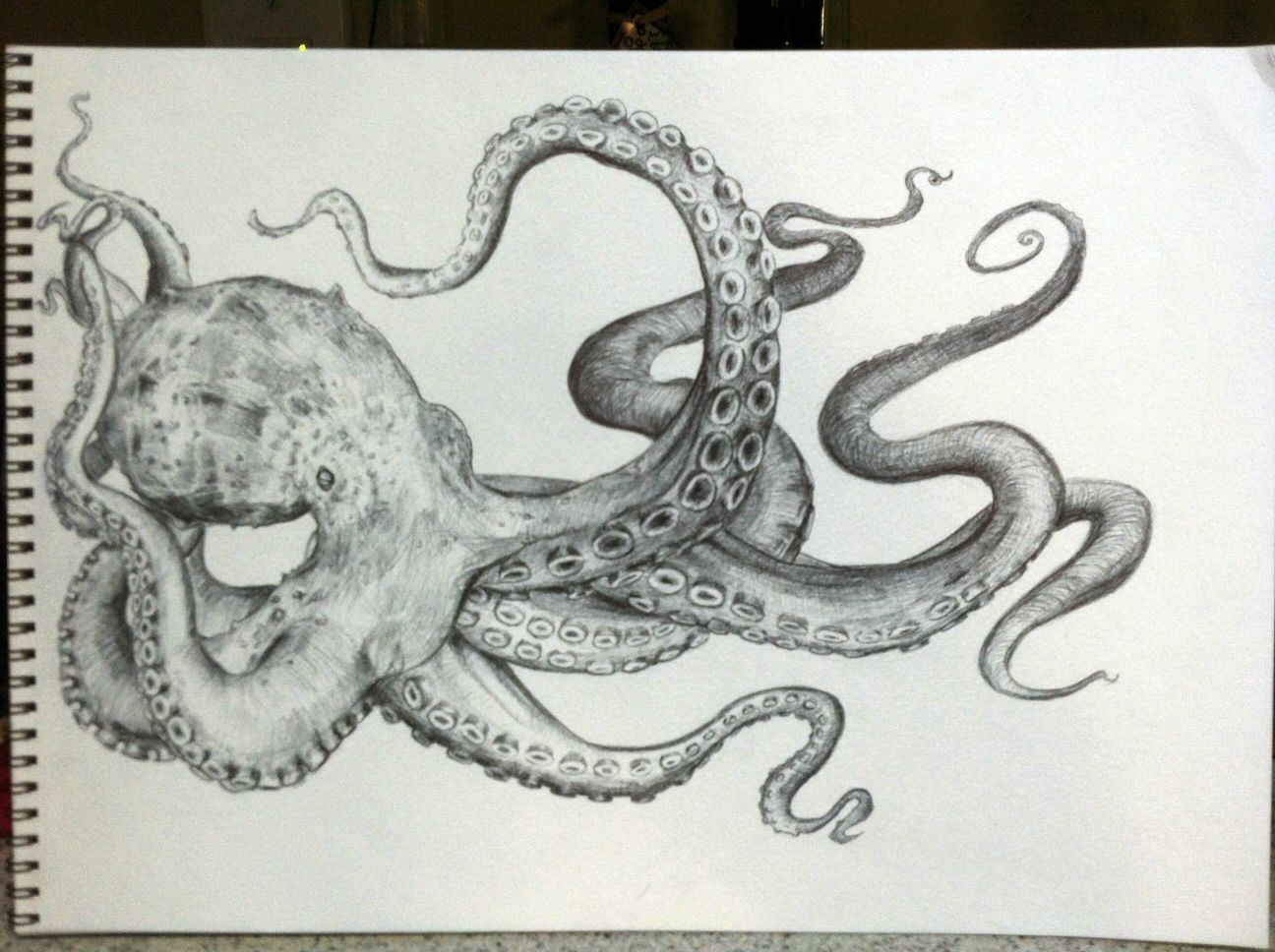 1296x968 Octopus Drawing Tattoos Octopus Tattoos, Octopus - Octopus Sketch