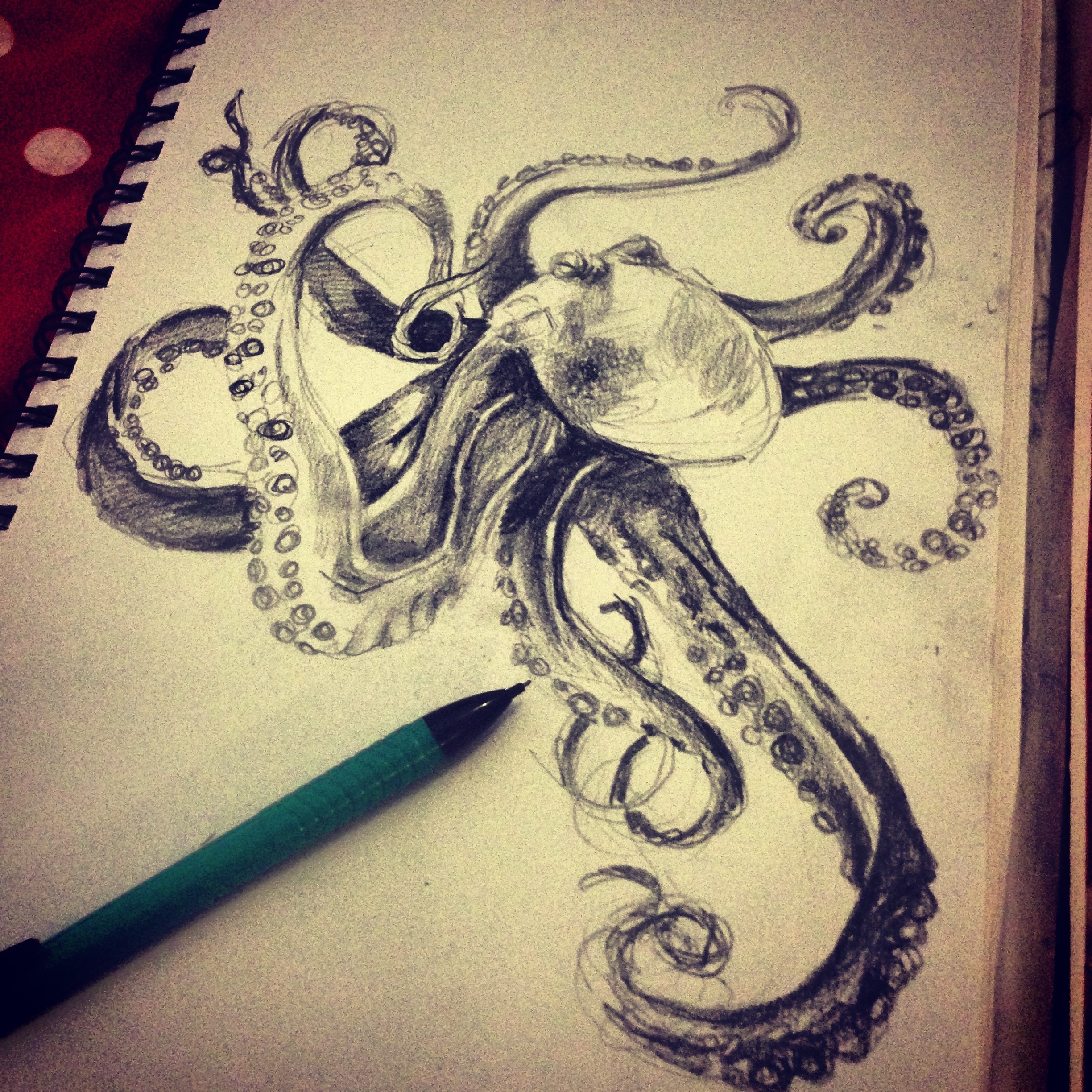 2448x2448 Octopus Sketch And Oil Painting. Katy Jade Dobson - Octopus Sketch
