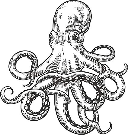 424x450 Simple Retro Vintage Octopus Sketch Cartoon Vinyl - Octopus Sketch