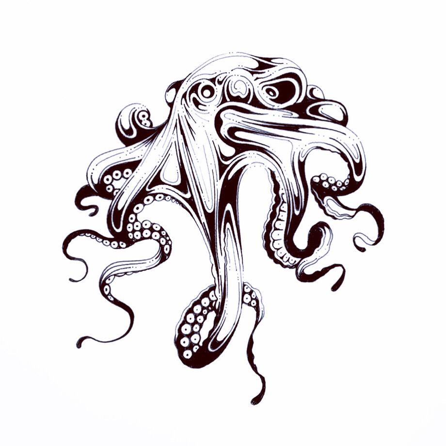 920x920 Si Scott Studio Ltd On Twitter - Octopus Sketch