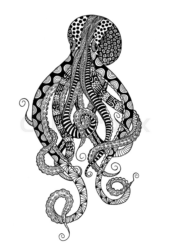 560x800 Doodle Octopus Sketch. Hand Drawn Squid Animal Illustration - Octopus Sketch