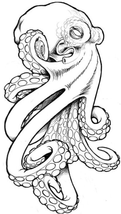 413x731 Octopus Upcoming Tattoos Tattoos, Drawings And - Octopus Tattoo Sketch