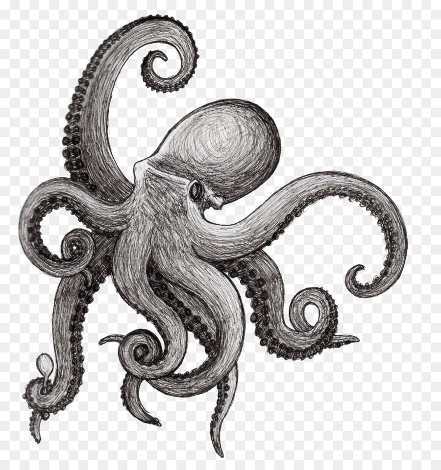 900x960 Octopus Drawing Squid Tattoo Sketch - Octopus Tattoo Sketch
