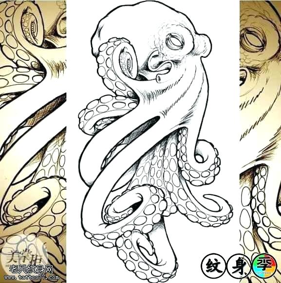 577x582 Octopus Sketch Drawings Black Outline Tattoo Design Tattoos - Octopus Tattoo Sketch