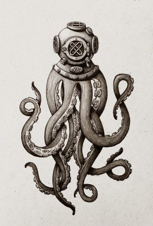 500x739 Octopus Tattoo Sketch - Octopus Tattoo Sketch