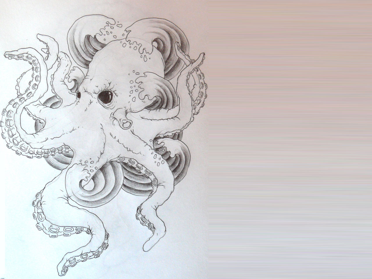 1280x960 Octopusb With Black Eyes Tattoo - Octopus Tattoo Sketch