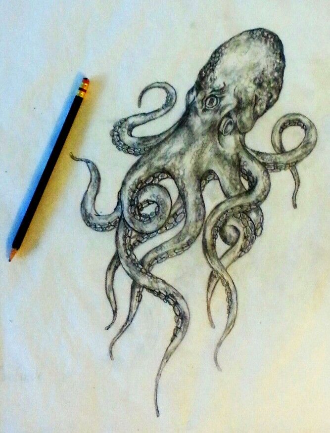 667x876 Tattoo Sketch - Octopus Tattoo Sketch