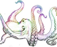 240x200 Collection Of Tumblr Octopus Drawing High Quality, Free - Octopus Tentacles Sketch
