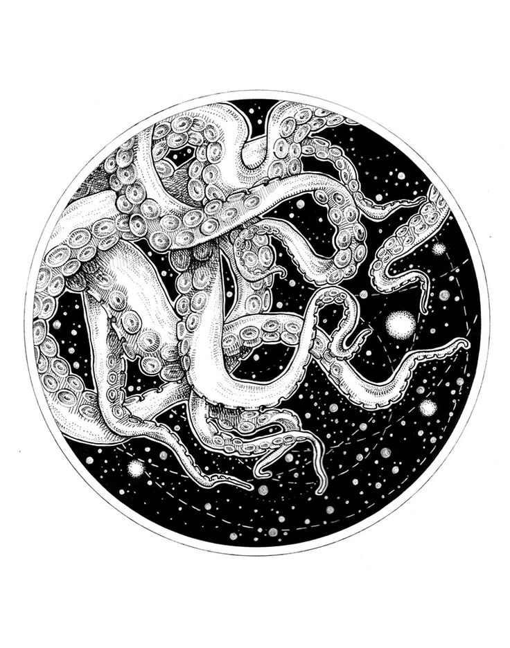 736x936 Octopus Tentacles Sketch - Octopus Tentacles Sketch