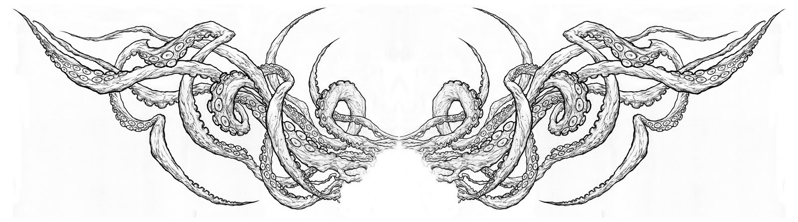 1600x445 A Wolf Illustrations Blog Octopus Tentacles - Octopus Tentacles Sketch