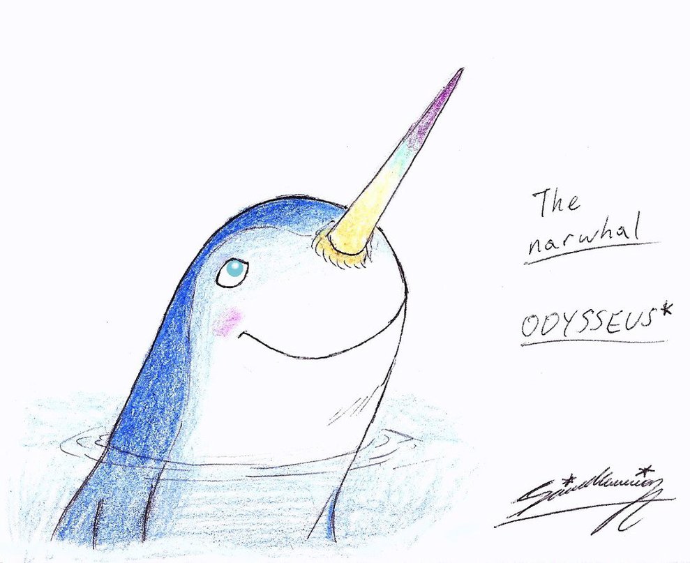 989x807 The Narwhal From Odysseus! (Sketch) By Sagadreams - Odysseus Sketch