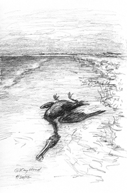 250x378 Oil Spill The Big Belch - Oil Spill Sketch