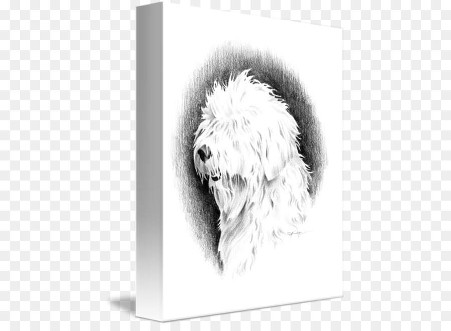 900x660 Dog Breed Old English Sheepdog Puppy German Shepherd Sketch - Old Dog Sketch