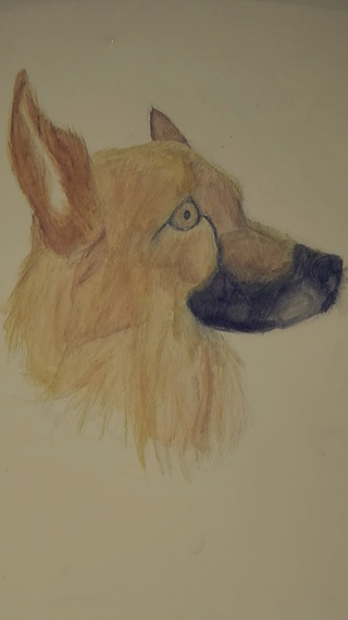 320x569 Here Is The Finished Drawing Of My Old Dog. - Old Dog Sketch