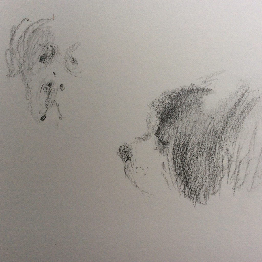 1024x1024 My Old Dog Life Sketch Beate Aigner - Old Dog Sketch