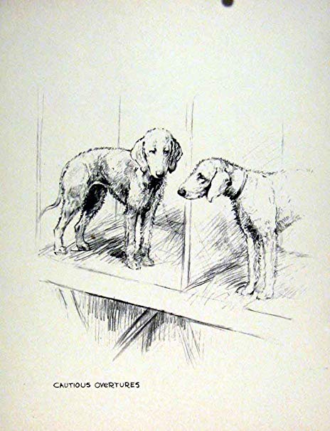 464x606 Old Antique Print Hound Pencil Sketch Dog Drawing Fine Art Pet - Old Dog Sketch