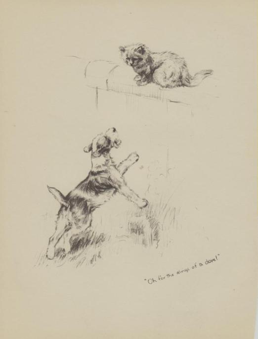 522x685 Dogs 1935 Oh For The Wings Of A Dove. Dog And Cat. Old Print.by - Old Dog Sketch