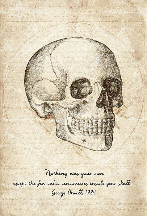 476x700 George Orwell, 1984, Skull, Quote, Drawing, Vintage, Old, Paper - Old Paper Sketch