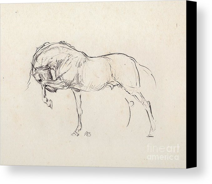 678x591 Spanish Horse Sketch - Old Paper Sketch