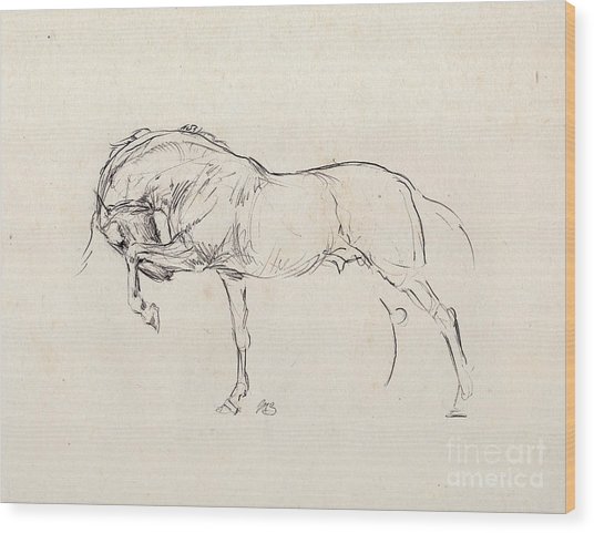 536x481 Spanish Horse Sketch - Old Paper Sketch