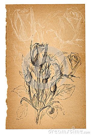 302x450 X Flower Sketch Old Paper Sheet 52252640.jpg - Old Paper Sketch