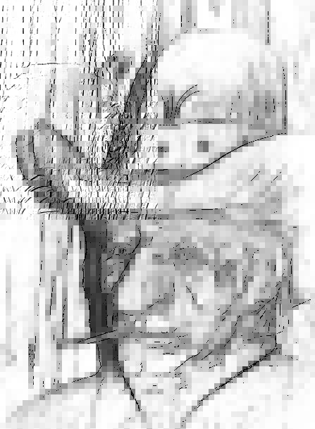 447x609 Old Man, Unreliable, Art, Painting, Cowboy, Drawing, Sketch - Old Person Sketch