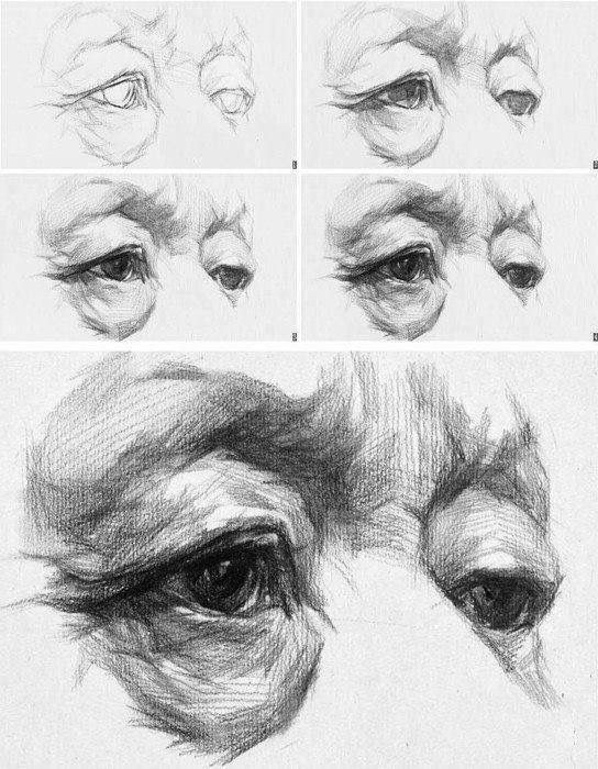 544x700 Pin By Kamber On Drawings Drawings, Art And Art Drawings - Old Person Sketch