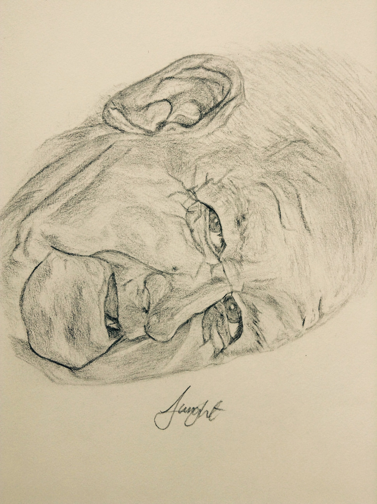 765x1024 Tribute Drawing ) - Old Person Sketch
